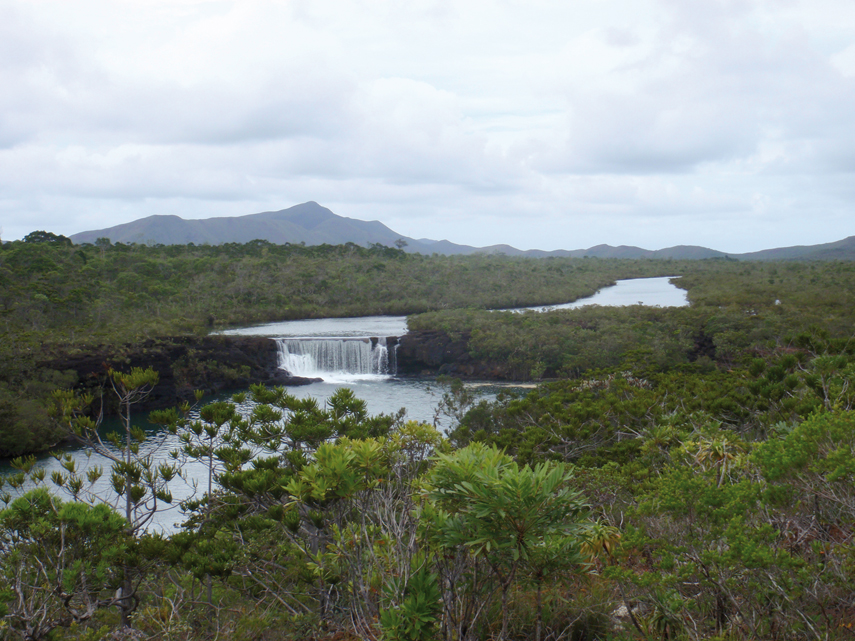 Chronicle New Caledonia