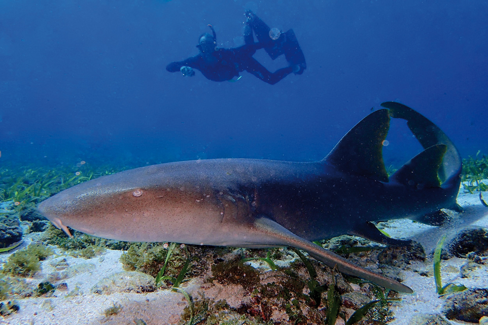 Around the World Les San Blas