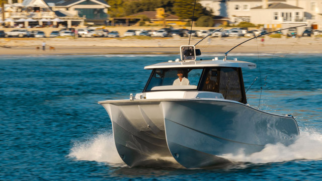 HammerCat 35HH