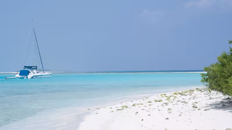 What is the right size for an ocean cruising boat, to allow you to go and discover some unlikely spots? 