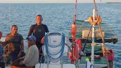 Tao: The Gardens of the Queen 