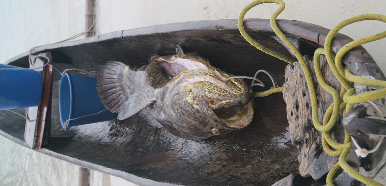 The Caribbean Sea was particularly generous... What a catch!