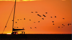 Walvis Bay