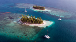 Cat’Leya in Panama : a three-faced diamond!  