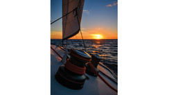 The Chesterfields: The Magical Islands