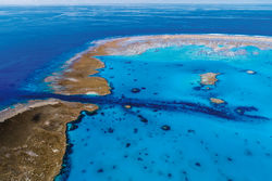 Lady Musgrave Island