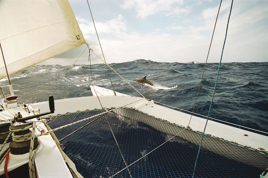 trimaran heavy weather sailing