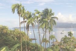 Martinique: The Island of Flowers is well worth a week’s stay! 