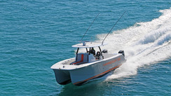 HammerCat 35