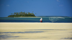Tongatapu - Whales, Reefs and Mushrooms