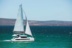 Essai : Leopard 42