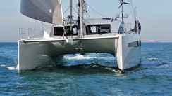 C-Cat 48