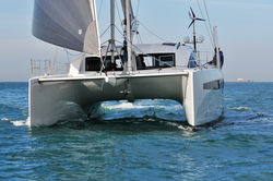 C-Cat 48