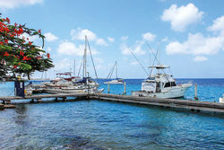 Bonaire - The Divers’ Island!