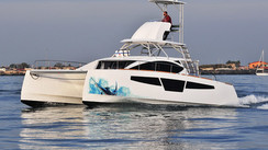 C-Cat 40 Power Fish