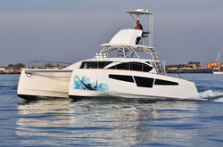 C-Cat 40 Power Fish