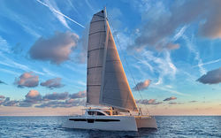 C-Cat 48
