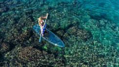 OSD Transparent Kayak & Stand-Up Paddle 