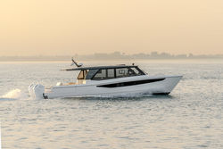 SilverCat 47