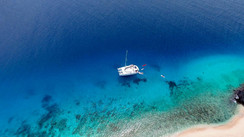 TradeWinds