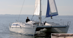 Essai : Edel Cat 33