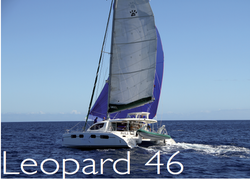 Leopard 46
