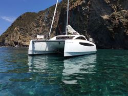 C-Cat 37
