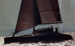 Catana 40