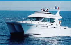 Catana Legend