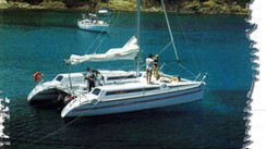 Edel Cat 35