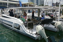 Gemini Freestyle 399 Power