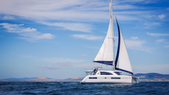 Leopard 40 (2015)