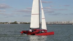 Libertist 703