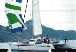 Polynesia 42