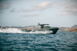 T38 Powercat