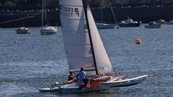 Tremolino