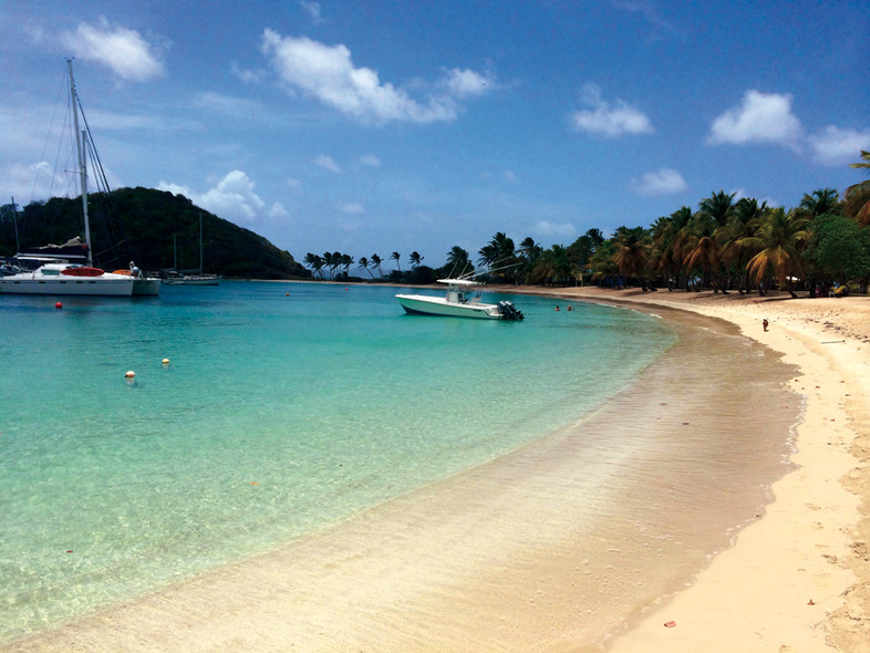 Cataja : A year after