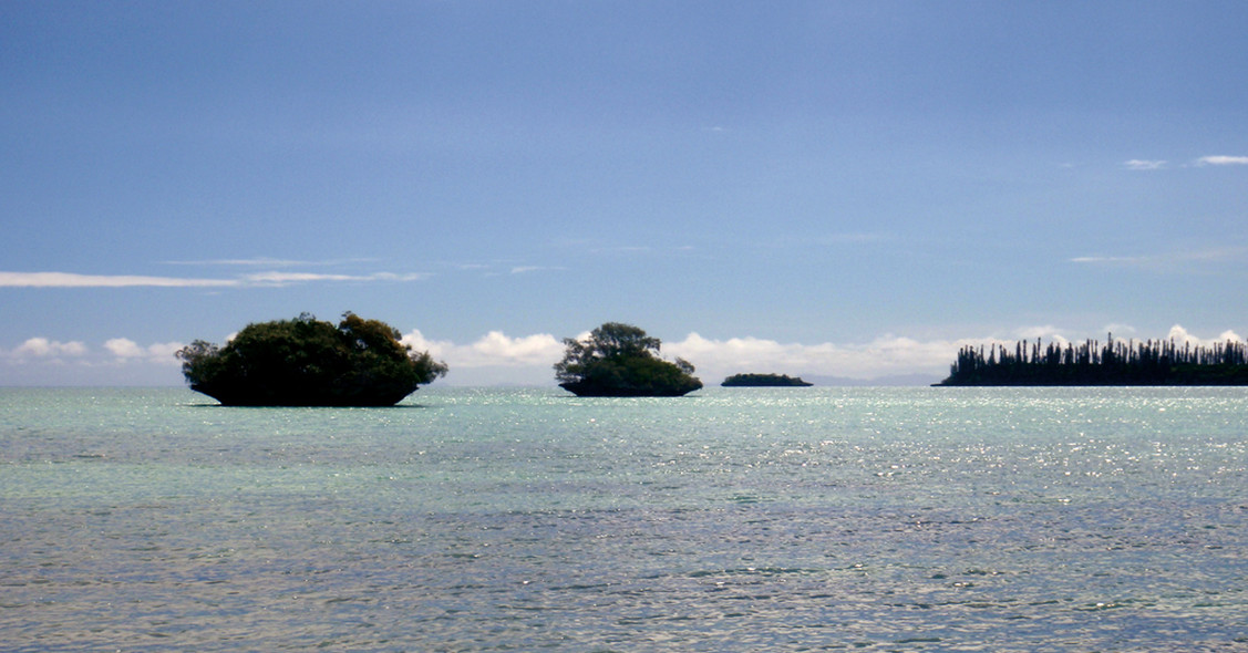Chronicle New Caledonie