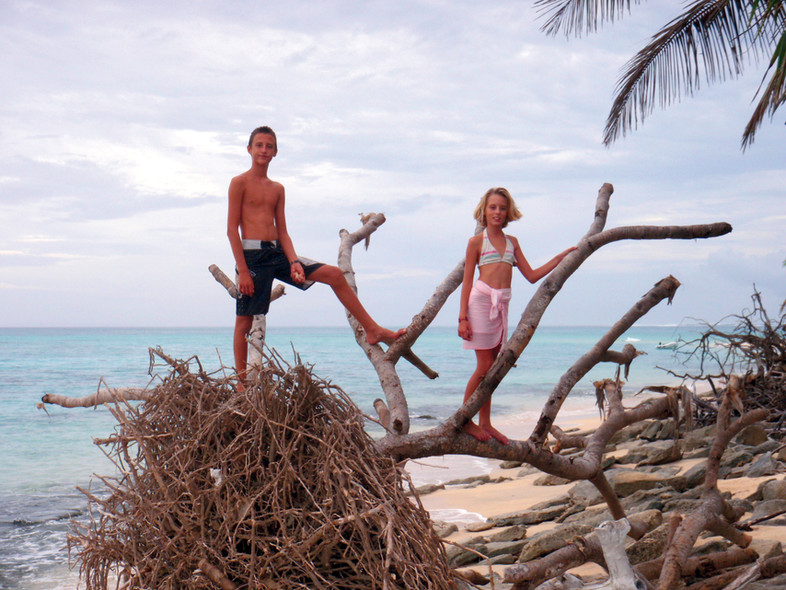 Chronicle western pacific : testing the coral…