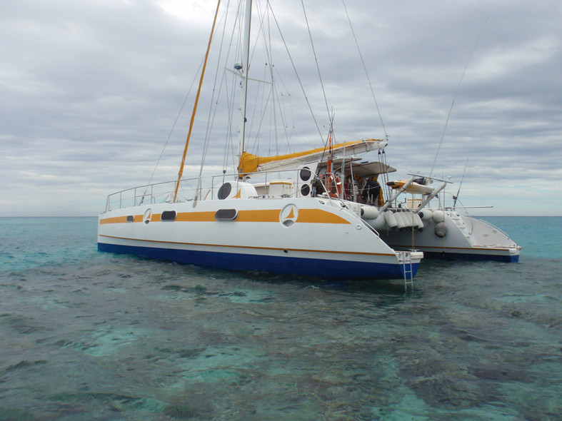 Chronicle western pacific : testing the coral…