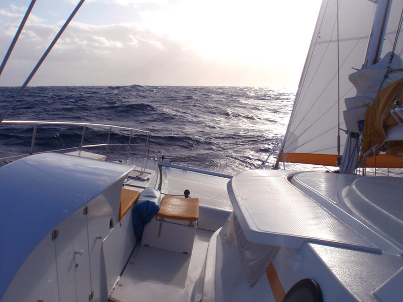 From Tonga to New Zealand in cat