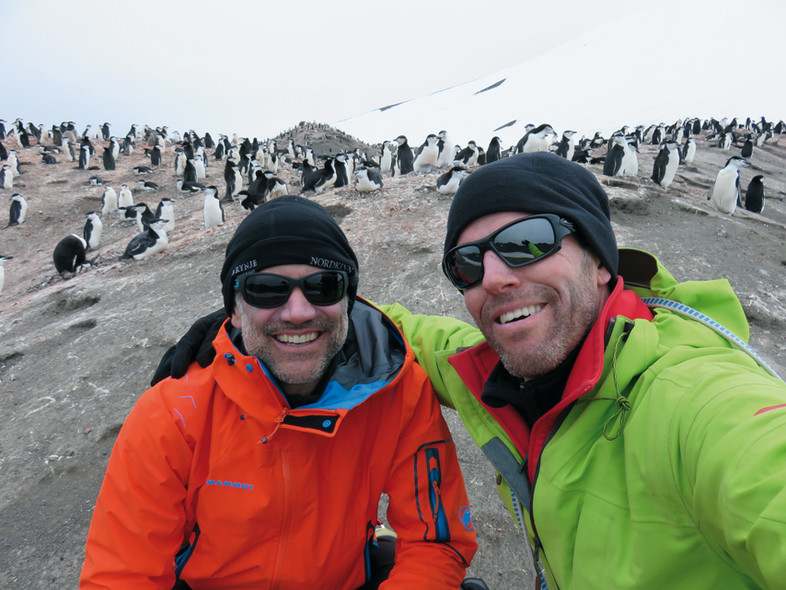 Libellule in Antarctica
