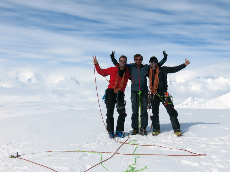 Libellule in Antarctica