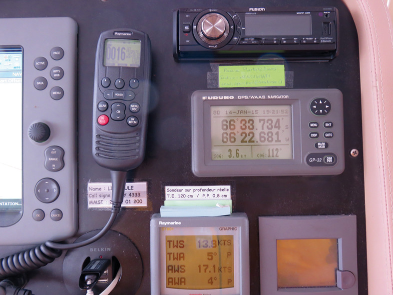 Libellule in Antarctica