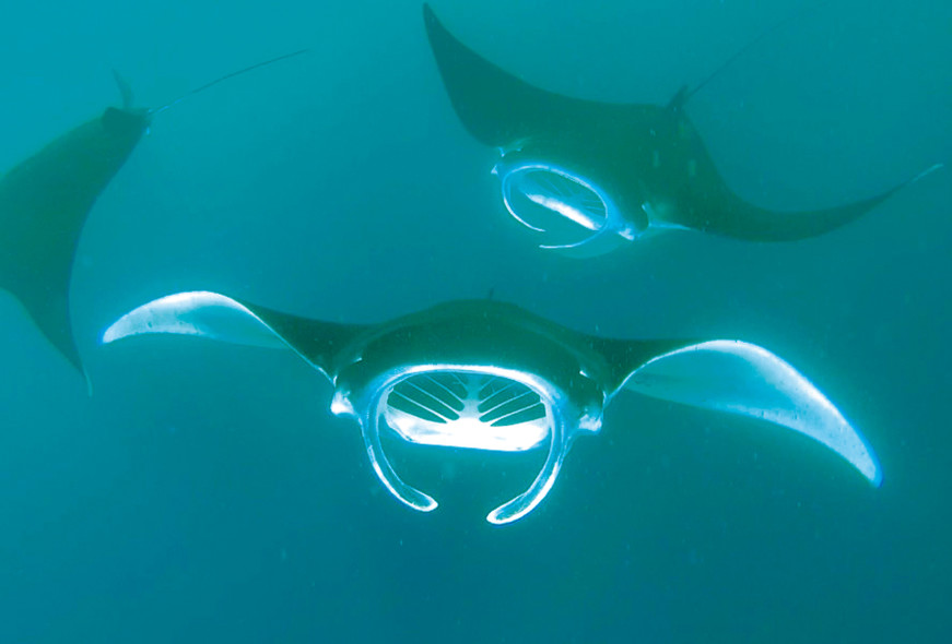 Cruising in Marquesas Islands