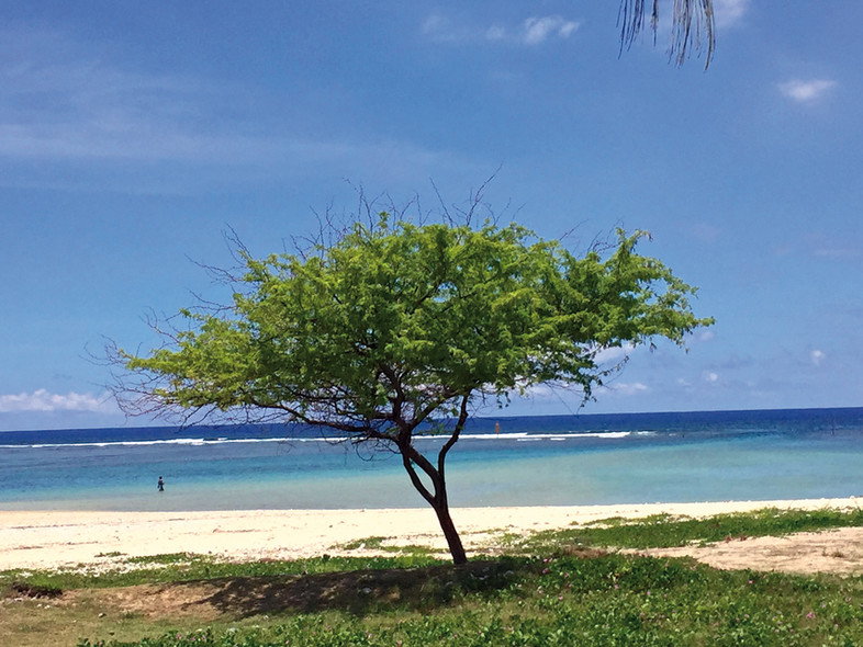Stopover la Réunion