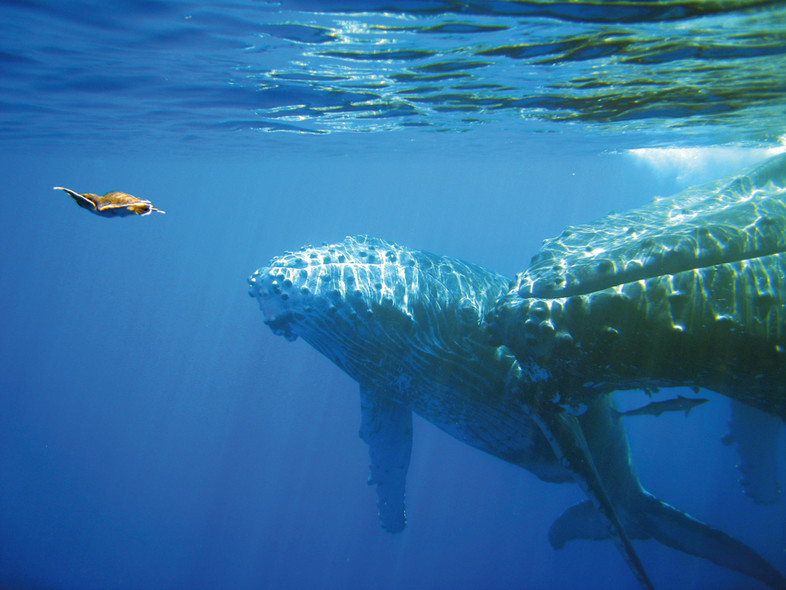 Stopover la Réunion