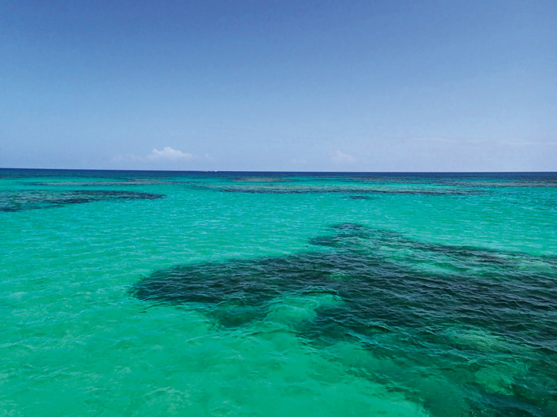 transat : an exhilarating time