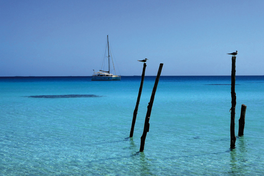 Postcards Ylang Ylang