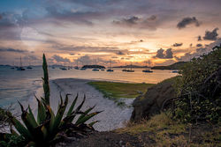 Tobago Cays - An air of Polynesia...